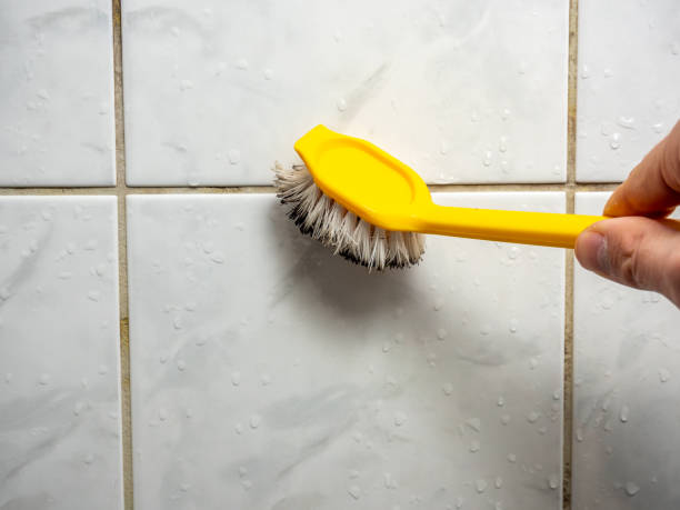 Best Best Mold Removal Companies  in Morn, GA