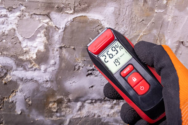 Best Mold Remediation Experts  in Morn, GA