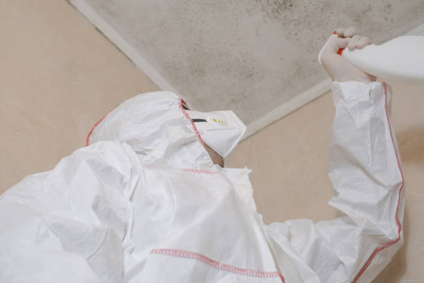 Best Home Mold Removal  in Morn, GA